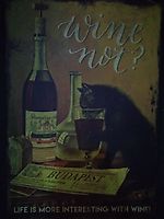 Pilatus II, Pilatus II