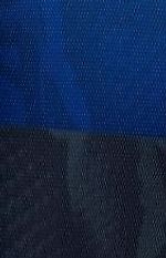 Forza Inter, Forza Inter
