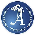 ФК "Артемида", ФК &quot;Артемида&quot;