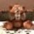 krank_is_good@mail.ru