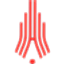 LehaPerm