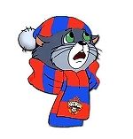 cskascheglakov, cskascheglakov