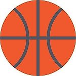 Pro Basketball, Pro Basketball