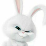 !White_rabbit!, !White_rabbit!