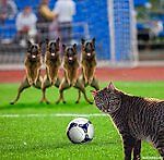 Dimas_16, Dimas_16 Dimas_16, Dimas_16