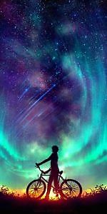 Nick Alexandrov, Nick Alexandrov