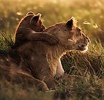 Olga Bobrova, Olga Bobrova