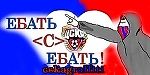 kvl84, kvl84