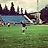 Forza14Viola