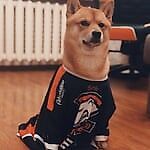 Александр Александров, Александр Александров