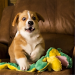 El Segador, El Segador