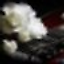 Floyd Rose