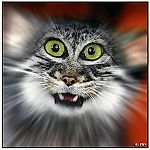 Barma_lej, Barma_lej