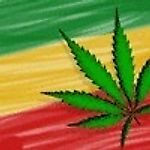 Elena Shuklina, Elena Shuklina