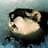Lemming
