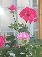 dzej1990, dzej1990