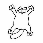 Basnikkon, Basnikkon