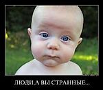 -Factor, -Factor