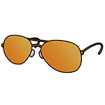 З. Бранниган, З. Бранниган