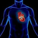 АРМЕЕЦ, АРМЕЕЦ