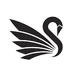 GtSwan, GtSwan