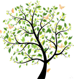 Полина Чернак, Полина Чернак