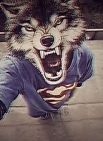 Станислав Бузанов, Станислав Бузанов