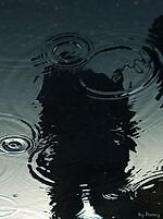 Сан Саныч, Сан Саныч