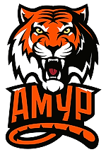 ХК Амур, ХК Амур ХК Амур, ХК Амур