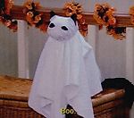 Shadoweek, Shadoweek