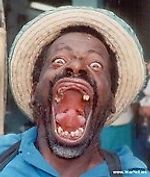 Вас ждут из темноты, Вас ждут из темноты