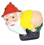 Super_Dwarf, Super_Dwarf