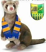 Екатерина Довлатова, Екатерина Довлатова