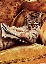 Лихов Д., Лихов Д.