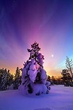 Сальваторе Сиригу, Сальваторе Сиригу