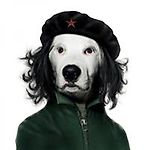 Мурат Нурхожаев, Мурат Нурхожаев