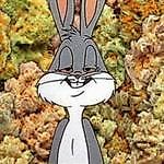 трафарет, трафарет