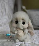 Mr.Pofigus, Mr.Pofigus