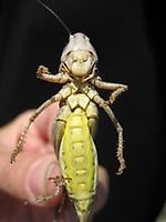 andandff@gmail.com, andandff@gmail.com