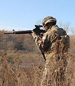 sergio pastulache, sergio pastulache