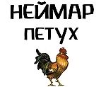 Балетный кружок Каталонии, Балетный кружок Каталонии