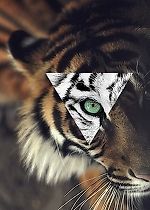 Владислав Поляков_98, Владислав Поляков_98