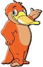 Качкадзьоб, Качкадзьоб