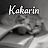kakarin