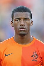 Georginio Wijnaldum, Georginio Wijnaldum