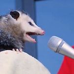 Артём Баранов, Артём Баранов