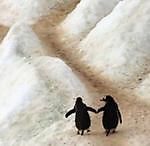 Александр Кулибин, Александр Кулибин