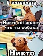 Пользователь_1021964746, Пользователь_1021964746