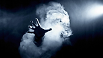 _Ghost_, _Ghost_
