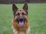 gospodin_nikto, gospodin_nikto gospodin_nikto, gospodin_nikto